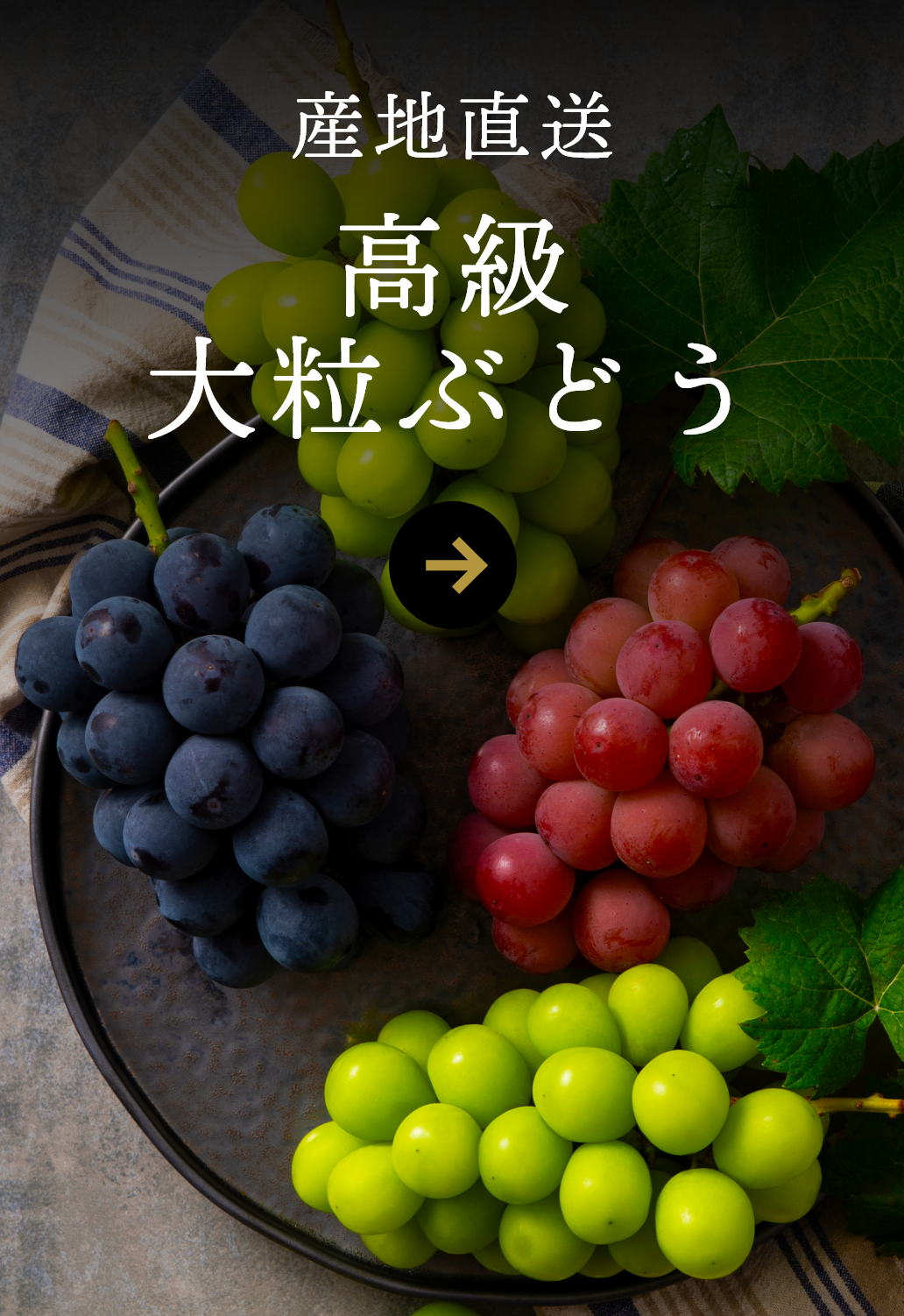 高級 大粒ぶどう