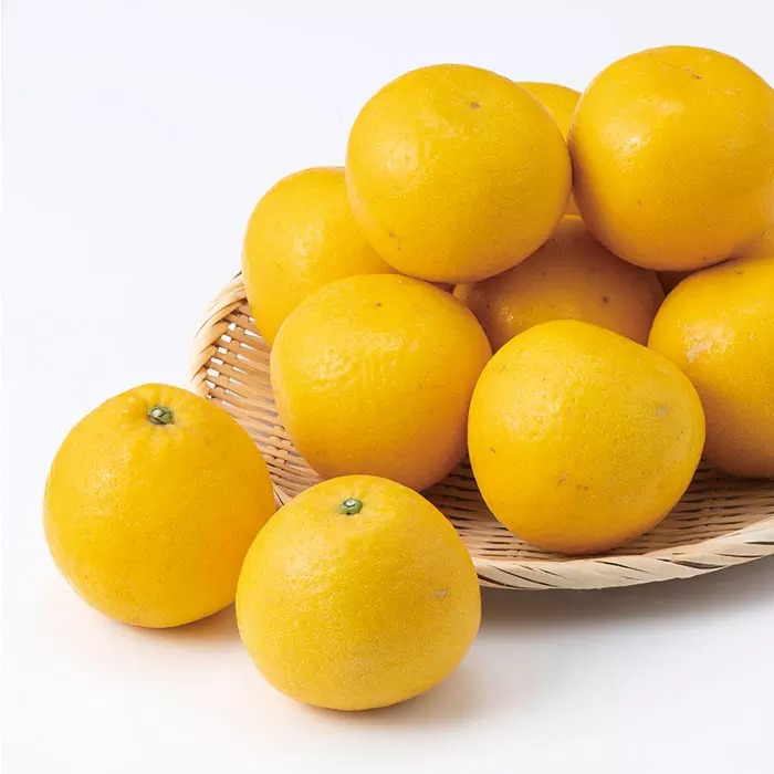 愛媛県宇和島産　河内晩柑　４ｋｇ