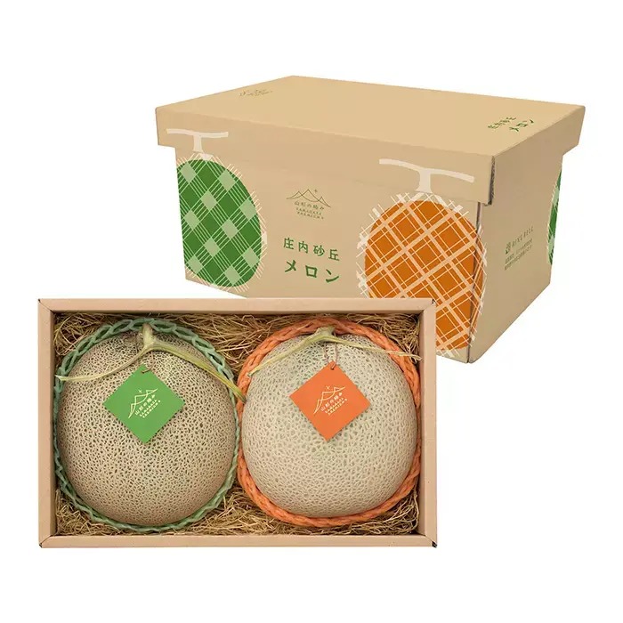 山形県庄内産 プレミアムメロン 3Ｌ 2玉