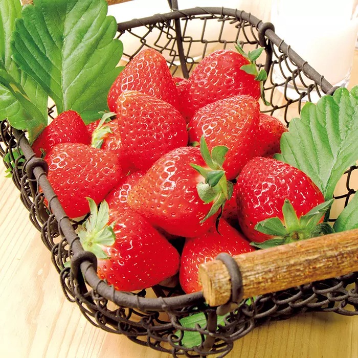 深瀬さんの完熟紅ほっぺいちご 450g