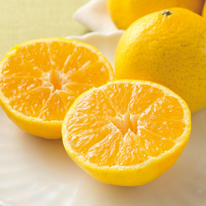 愛媛県産 媛小春 1.5kg