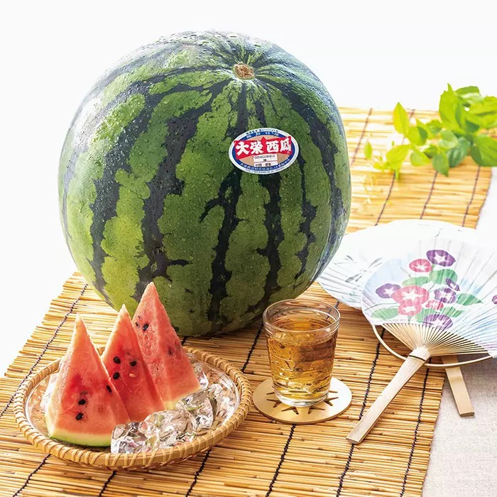 鳥取県産 大栄すいか 11kg