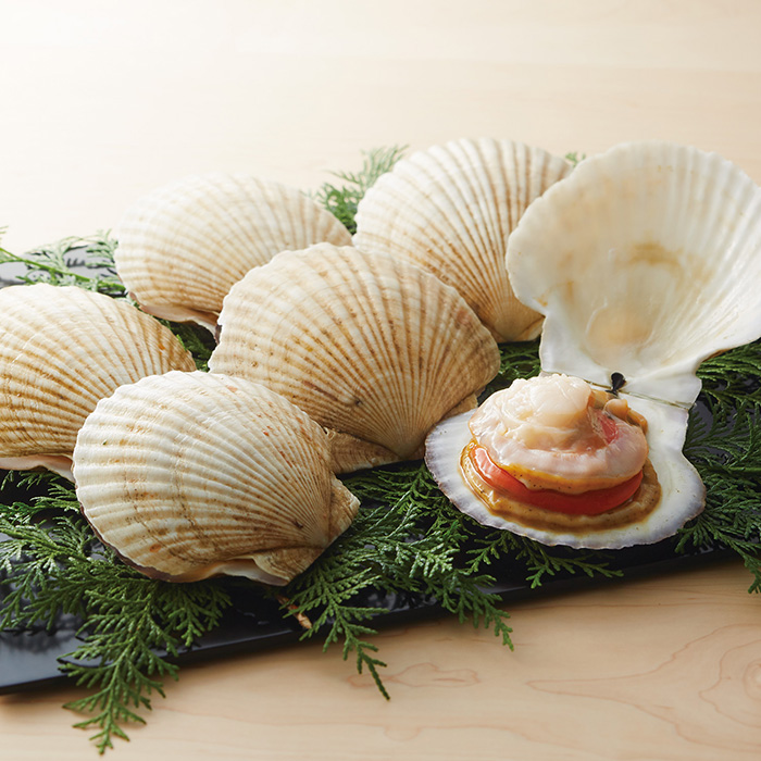 北海道野付産 活ホタテ 1.5kg