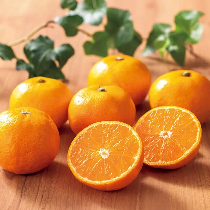 高知県産 四万十あま~いみかん 2kg