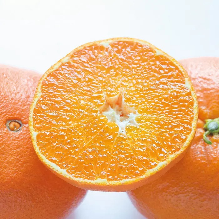 愛媛県 大将甘平 800g