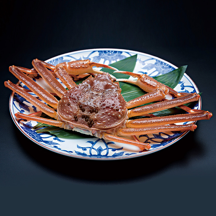 鳥取県 活ずわいがに(松葉がに)800g