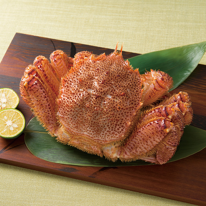 北海道根室産 活毛がに 1kg