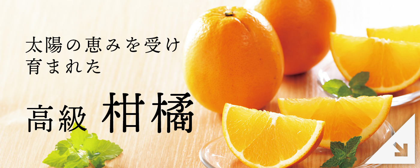 高級　柑橘