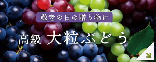 高級大粒ぶどう