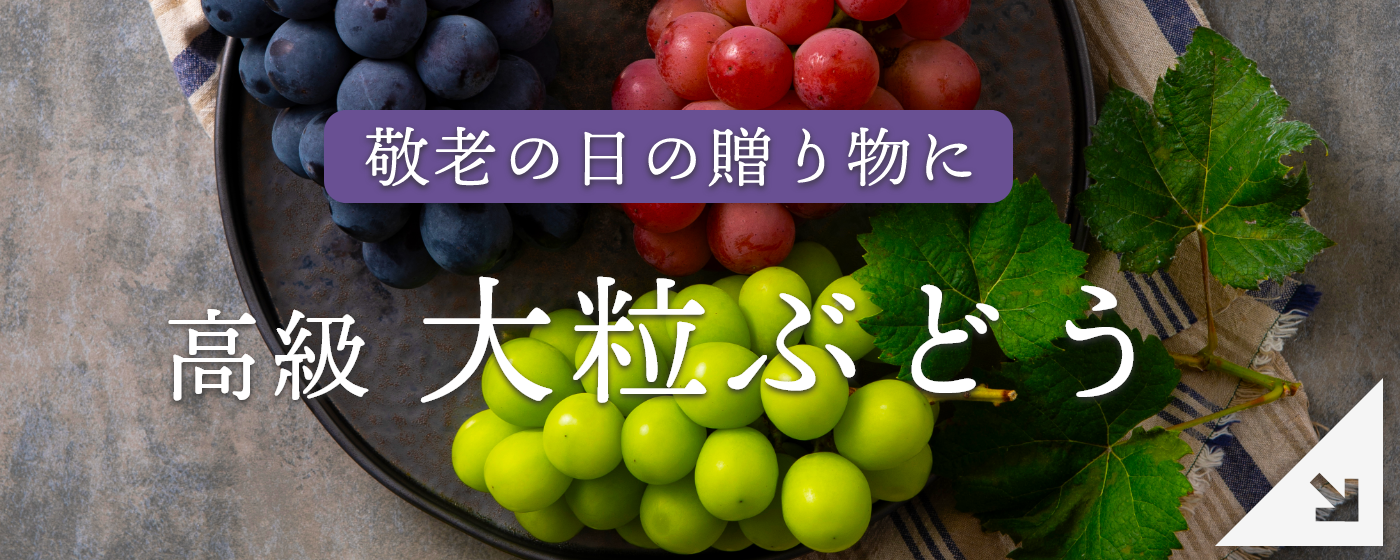 高級　大粒ぶどう