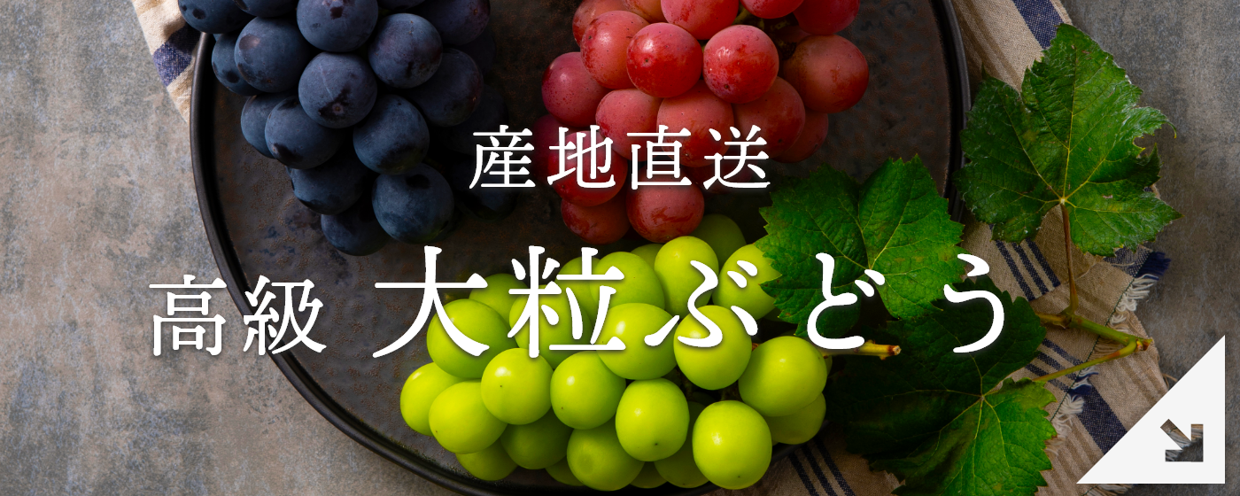 高級　大粒ぶどう