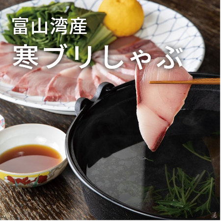 富山湾産 寒ブリしゃぶ