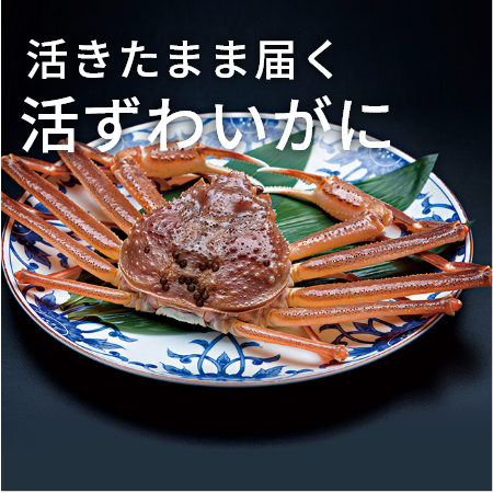 活きたまま届く 活ずわいがに