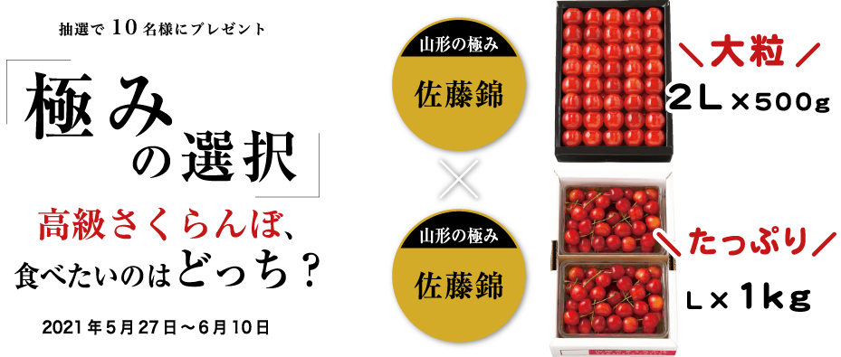 抽選で10名様にプレゼント 極みの選択 高級さくらんぼ、食べたいのはどっち？ 山形の極み 佐藤錦 大粒2L×500g ×  山形の極み 佐藤錦 たっぷり L×1kg