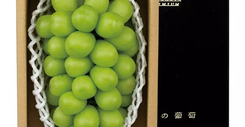上山市産 シャインマスカット