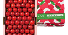 佐藤錦 700g［置並べ］