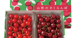 佐藤錦・山形美人 各250g［バラ詰］
