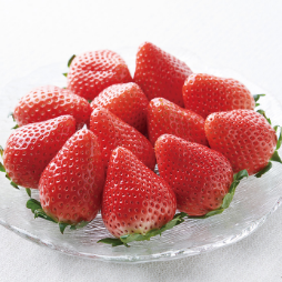 リンベルの高級いちご