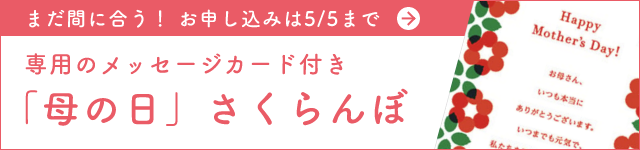 専用のメッセージカード付き「母の日」さくらんぼ