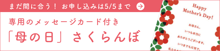 専用のメッセージカード付き「母の日」さくらんぼ