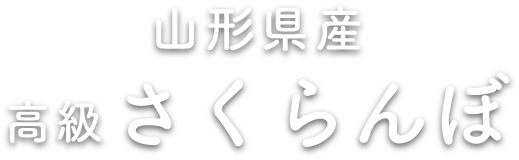 山形県産　高級 さくらんぼ