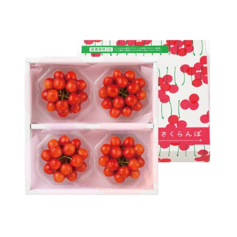 佐藤錦 400g（100g×4）