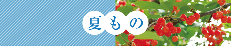 夏もの