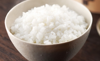大将の一膳（雪若丸） 36個