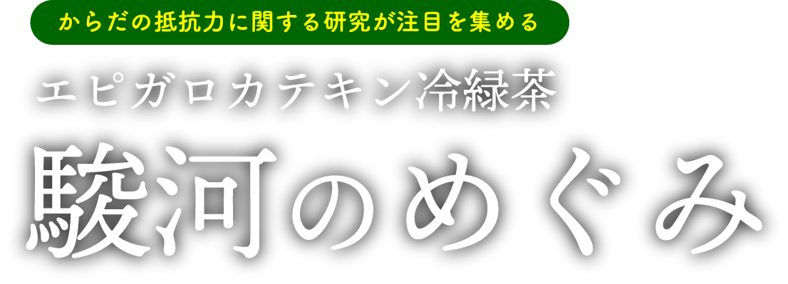 エピガロカテキン冷緑茶 駿河のめぐみ