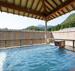 ［新潟・岩室温泉］岩室温泉 富士屋 ペア宿泊