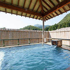 ［新潟・岩室温泉］岩室温泉　富士屋　ペア宿泊