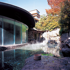 ［岐阜・下呂温泉］水明館　日帰り温泉＋ランチペア｜体験ギフト　リンベル