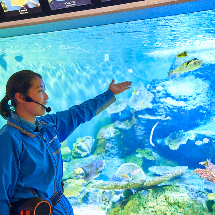 東京 品川 しながわ水族館 水族館 ペア入館券 体験ギフト リンベル カタログギフトのリンベル 公式