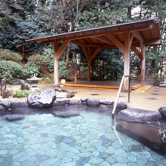 神奈川・箱根湯本］湯本富士屋ホテル 日帰り温泉＋ランチペア｜体験 