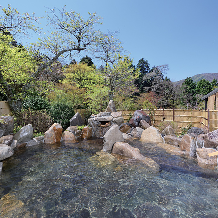 　［神奈川・箱根］箱根高原ホテル　日帰り温泉ペア