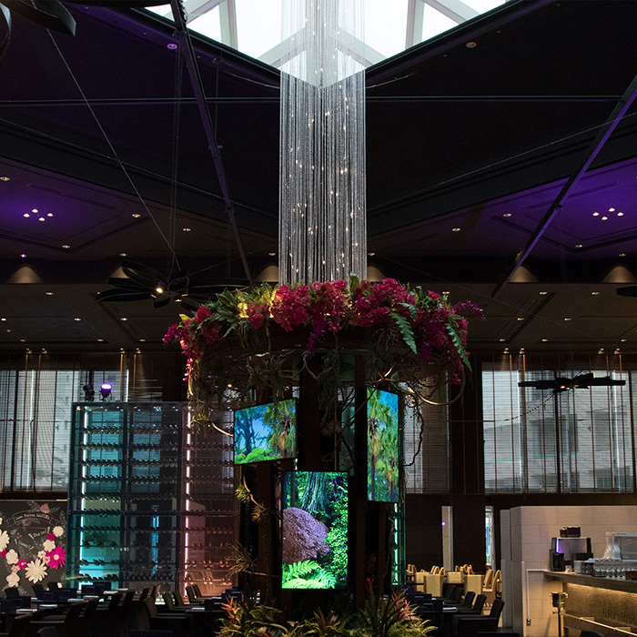 　［東京・品川］品川プリンスホテル　リュクス　ダイニング　ハプナ　ディナー３名