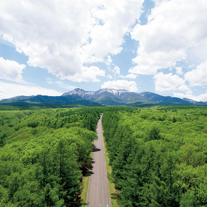 　［長野・八ヶ岳］八ヶ岳高原ロッジ　ペア宿泊