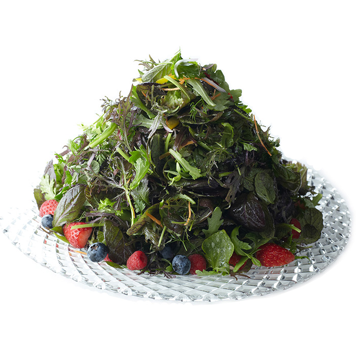 　［東京・銀座］ジャッジョーロ銀座　ディナーペア