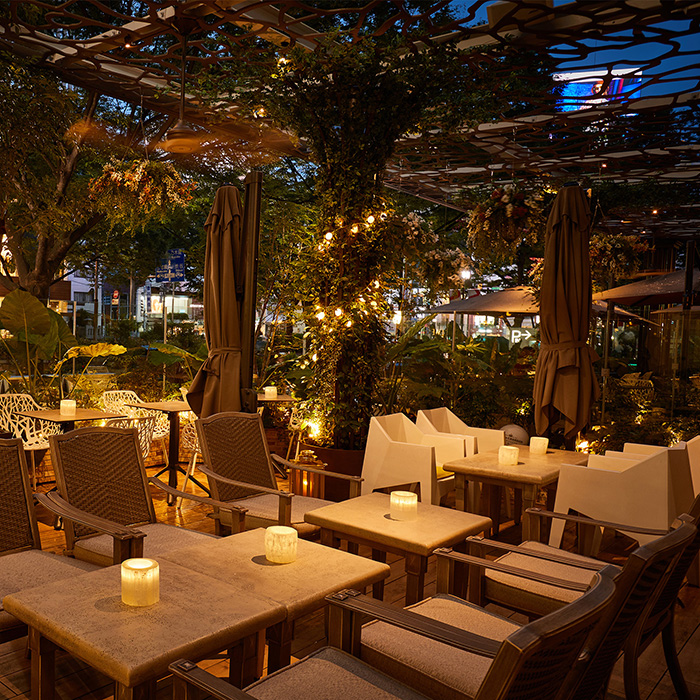 　［東京・北青山］Ｃａｆｅ　＆　Ｄｉｎｉｎｇ　ＺｅｌｋｏｖＡ　ディナーペア