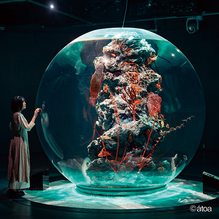 　［兵庫・神戸］ＡＱＵＡＲＩＵＭ×ＡＲＴ　ａｔｏａ（アトア）　入場券ペア
