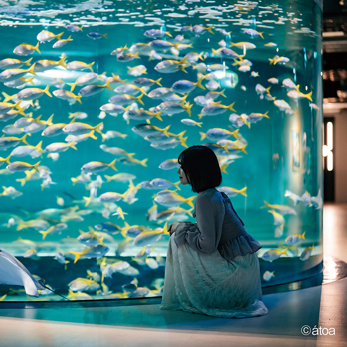 　［兵庫・神戸］ＡＱＵＡＲＩＵＭ×ＡＲＴ　ａｔｏａ（アトア）　入場券ペア
