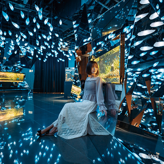 　［兵庫・神戸］ＡＱＵＡＲＩＵＭ×ＡＲＴ　ａｔｏａ（アトア）　入場券ペア