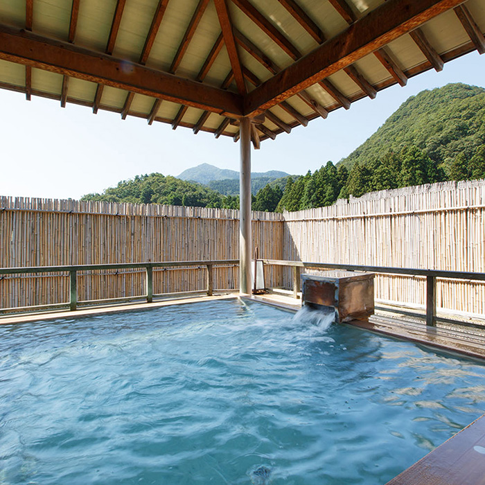 　［新潟・岩室温泉］岩室温泉　富士屋　日帰り温泉＋ディナーペア