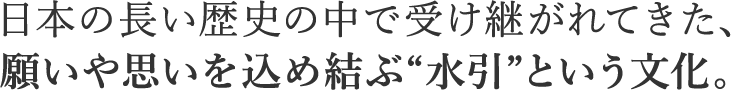 日本の長い歴史の中で受け継がれてきた、願いや思いを込め結ぶ“水引”という文化。
