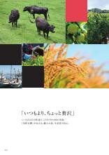 紅花でベスト 61pTEMlkNYL._UF1000,1000_QL80_.jpg