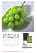 美味百撰 紅花（べにばな）コース