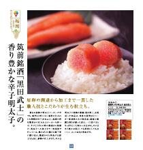 九州七つ星ギフト ひざかりコース