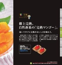 九州七つ星ギフト ひざかりコース