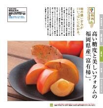 九州七つ星ギフト ひざかりコース