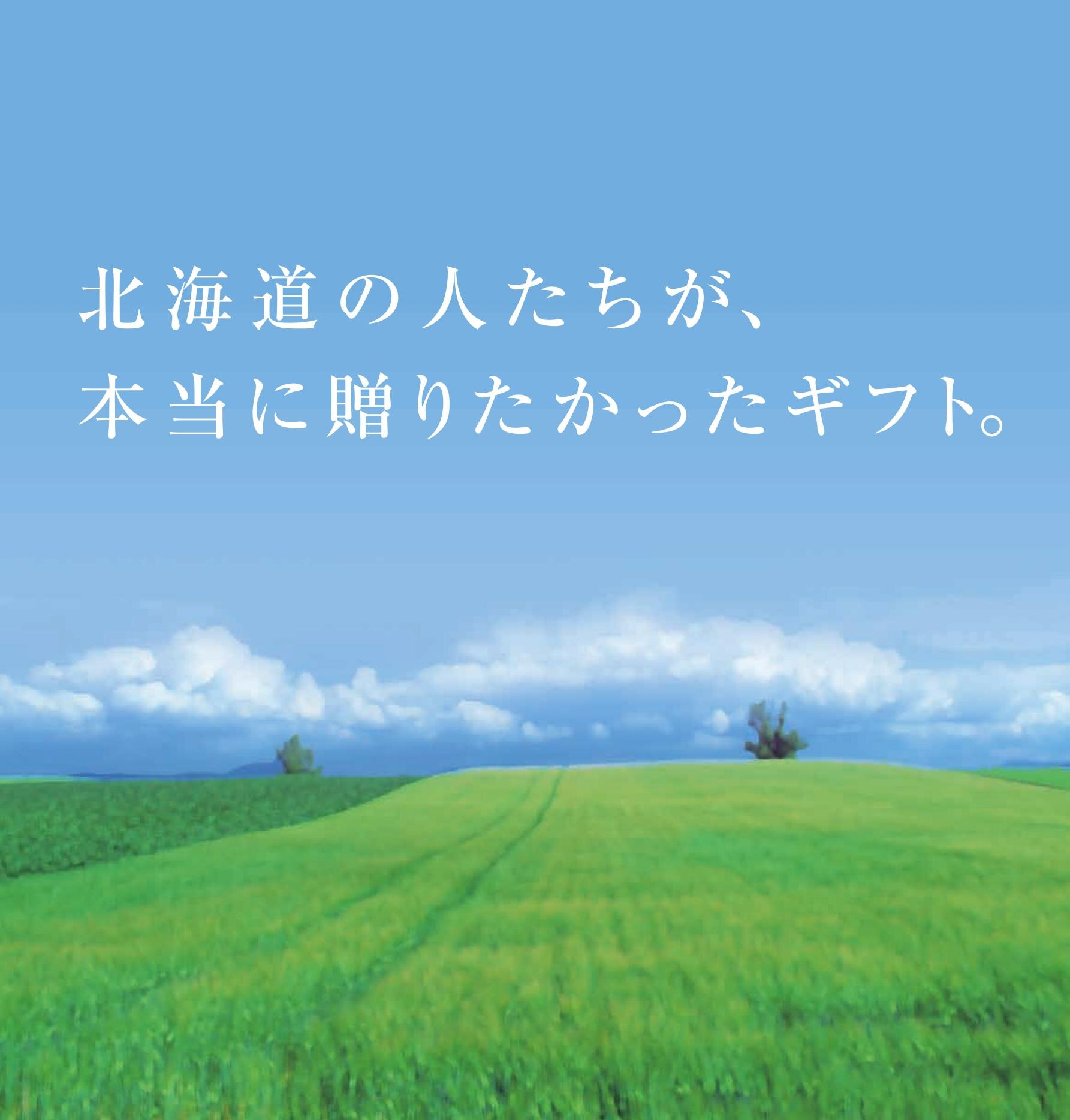 北海道七つ星ギフト ヌプリコース